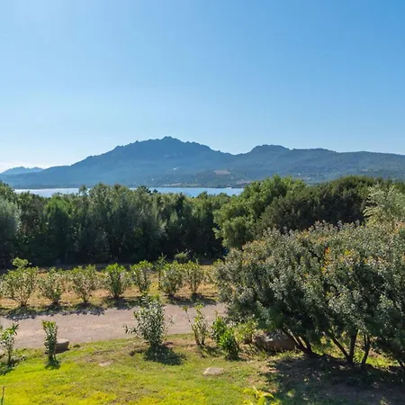Margherita By Searly * Porto Rotondo